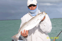 ScottTrout