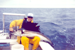 sail1lrg